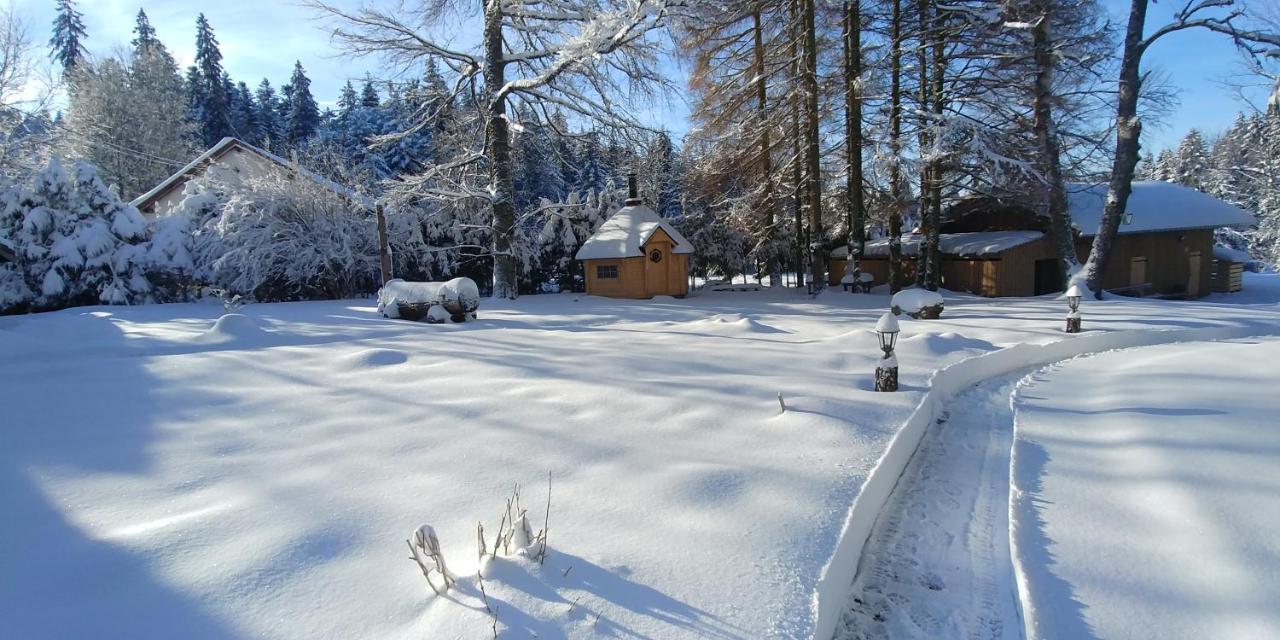 Chalet De Martimprey - Chalets - Gites - Chambres D' Hotes Et Spas Gerardmer Ngoại thất bức ảnh