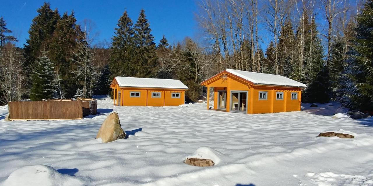 Chalet De Martimprey - Chalets - Gites - Chambres D' Hotes Et Spas Gerardmer Ngoại thất bức ảnh