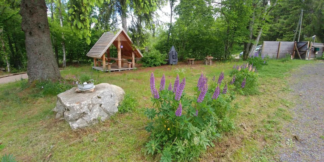 Chalet De Martimprey - Chalets - Gites - Chambres D' Hotes Et Spas Gerardmer Ngoại thất bức ảnh