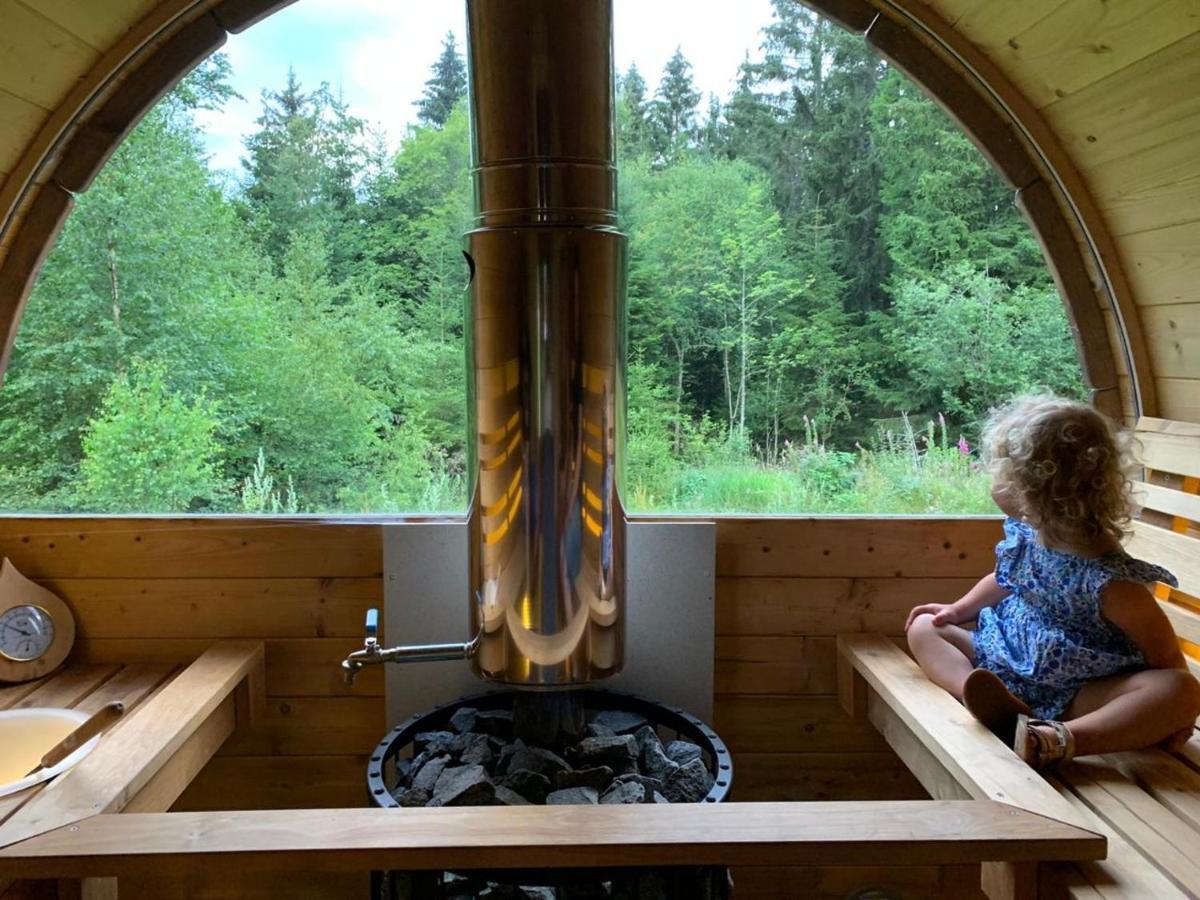 Chalet De Martimprey - Chalets - Gites - Chambres D' Hotes Et Spas Gerardmer Ngoại thất bức ảnh