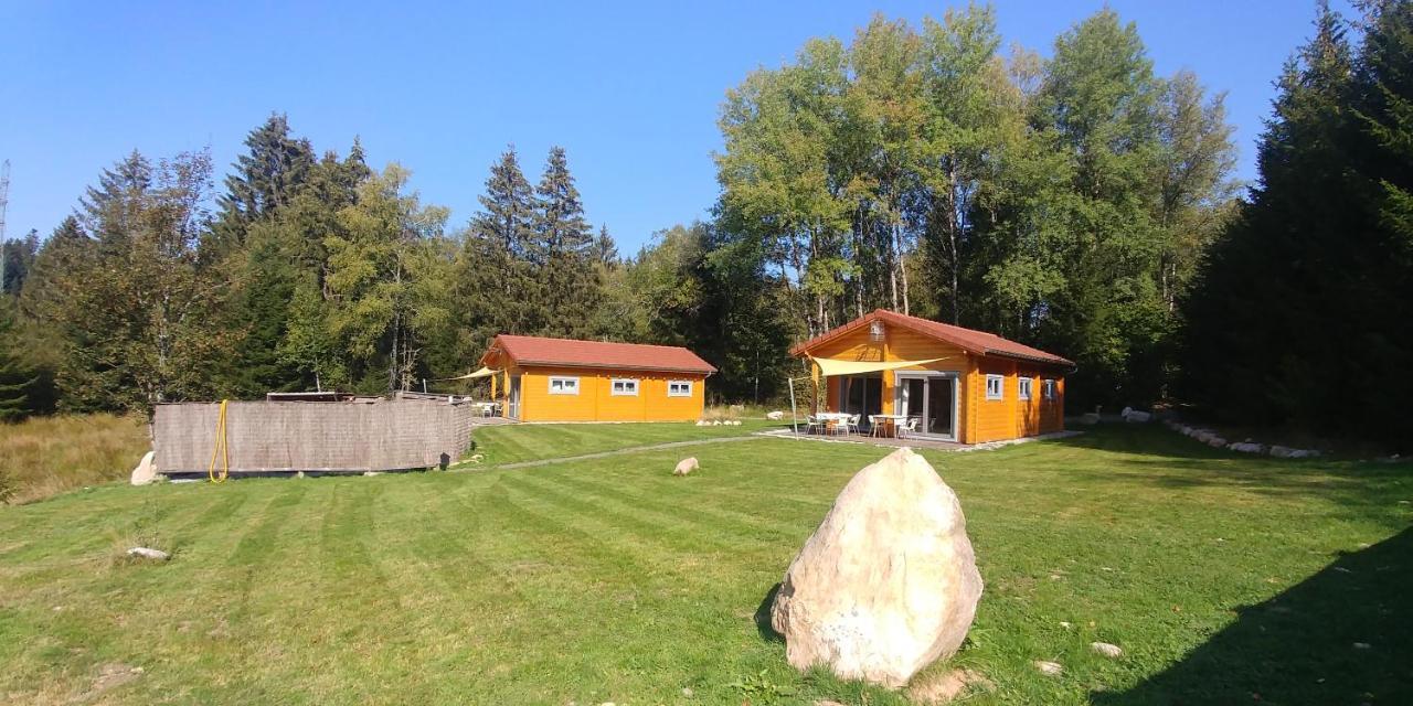 Chalet De Martimprey - Chalets - Gites - Chambres D' Hotes Et Spas Gerardmer Ngoại thất bức ảnh